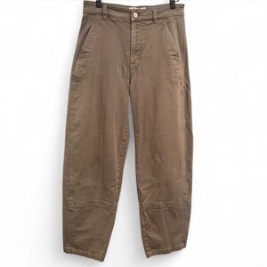 Everlane Utility Barrel Pants Sage Green